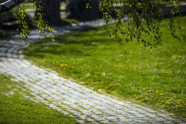 promethus-park02